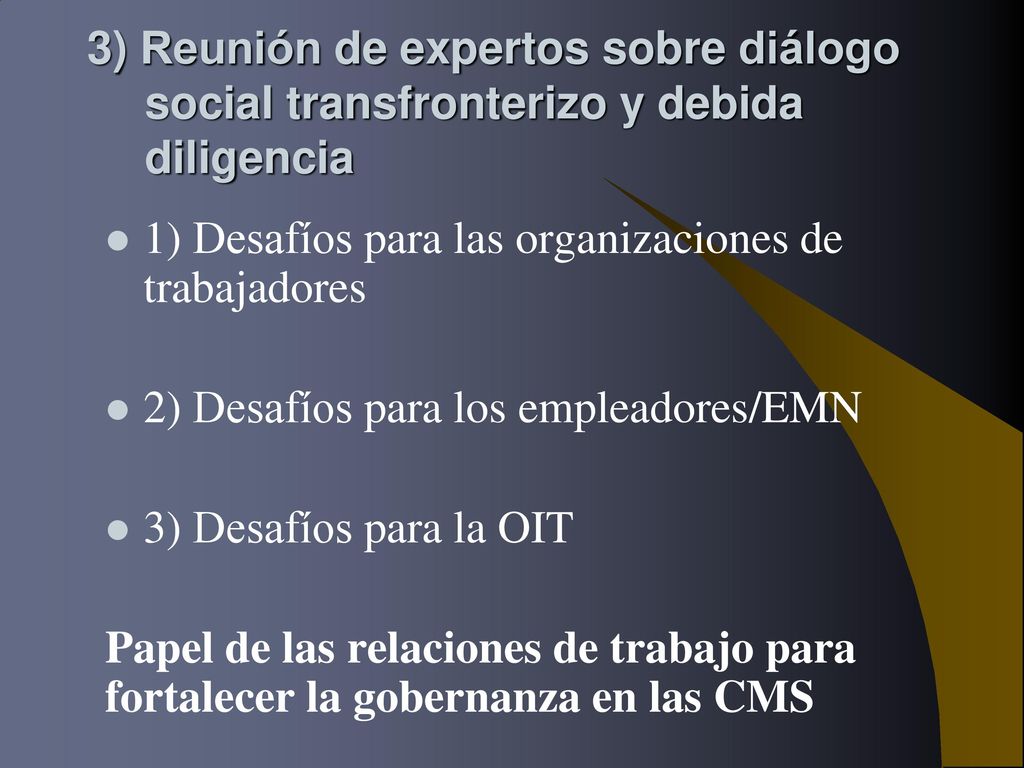 3) Reunión de expertos sobre diálogo social transfronterizo y debida diligencia