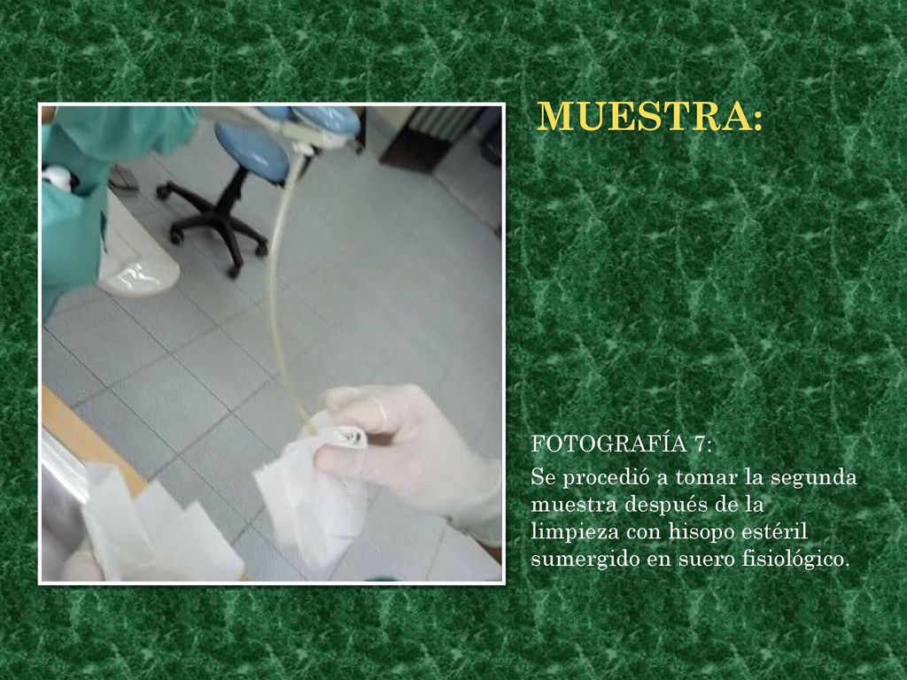 muestra: FOTOGRAFÍA 7: Se procedió a tomar la segunda muestra después de la limpieza con hisopo estéril sumergido en suero fisiológico.