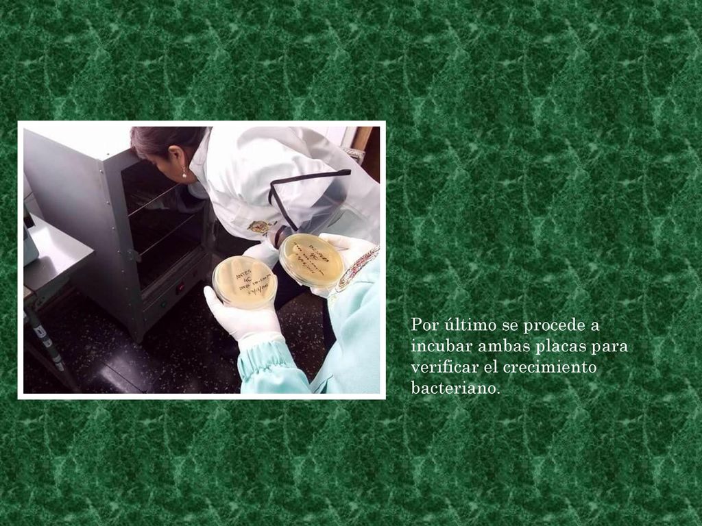 Por último se procede a incubar ambas placas para verificar el crecimiento bacteriano.