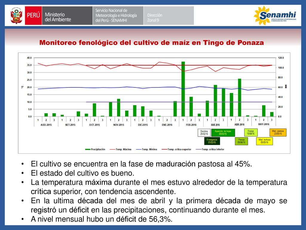 Monitoreo fenológico del cultivo de maíz en Tingo de Ponaza