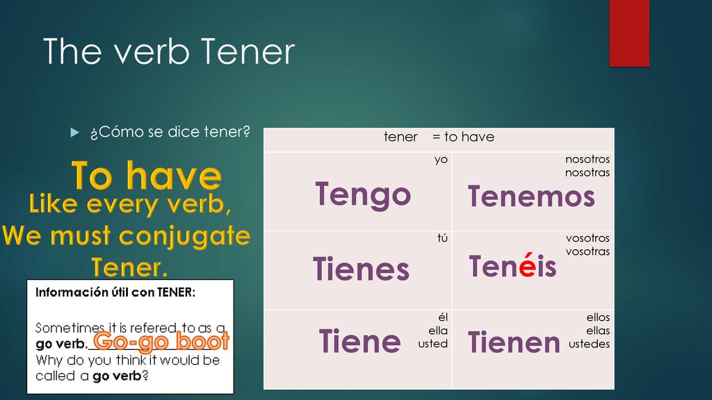 To have The verb Tener Tengo Tienes Tiene Tenemos Tenéis Tienen