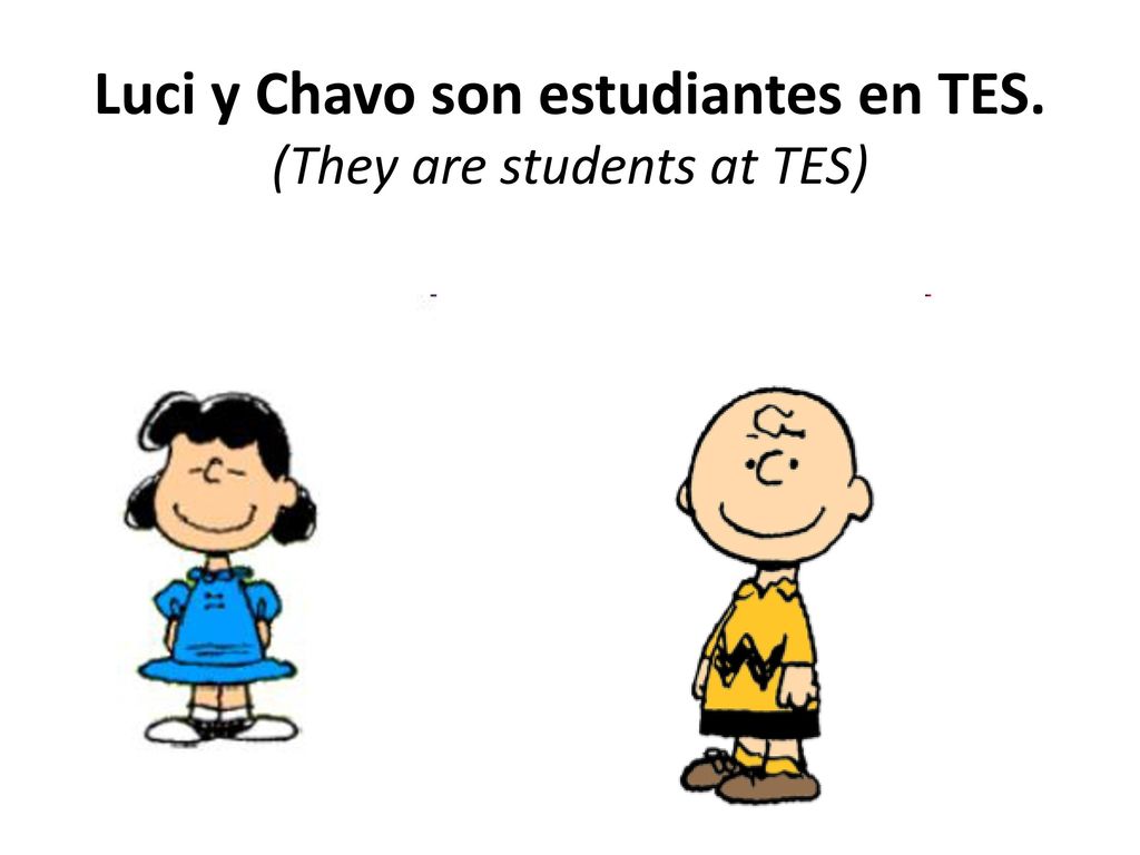 Luci y Chavo son estudiantes en TES. (They are students at TES)
