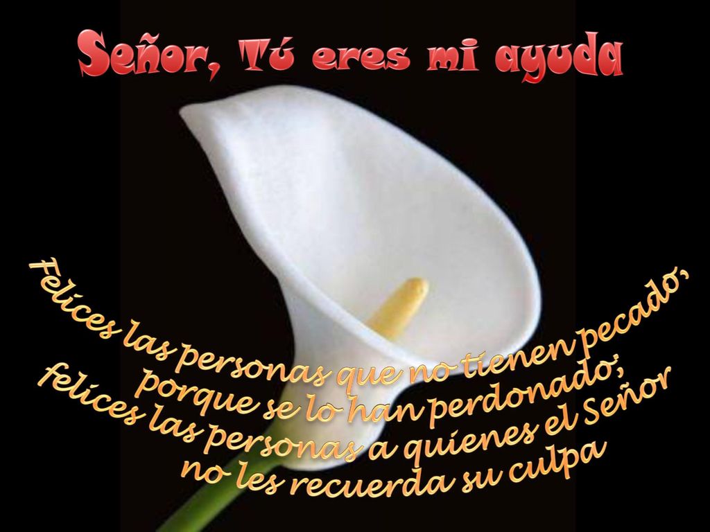 Señor, Tú eres mi ayuda porque se lo han perdonado;
