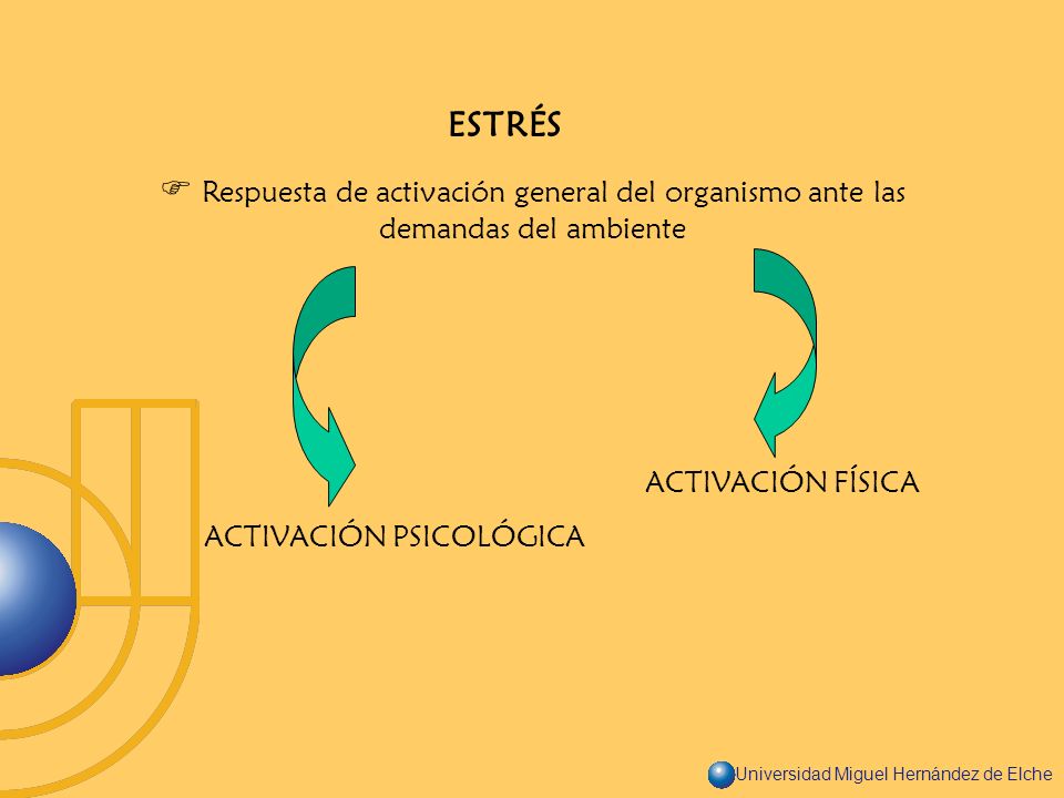 ESTRÉS  Respuesta de activación general del organismo ante las demandas del ambiente. ACTIVACIÓN FÍSICA.