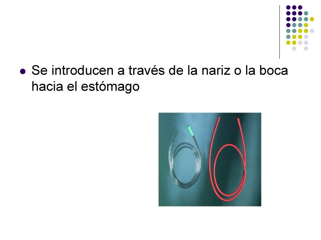 Se introducen a través de la nariz o la boca hacia el estómago