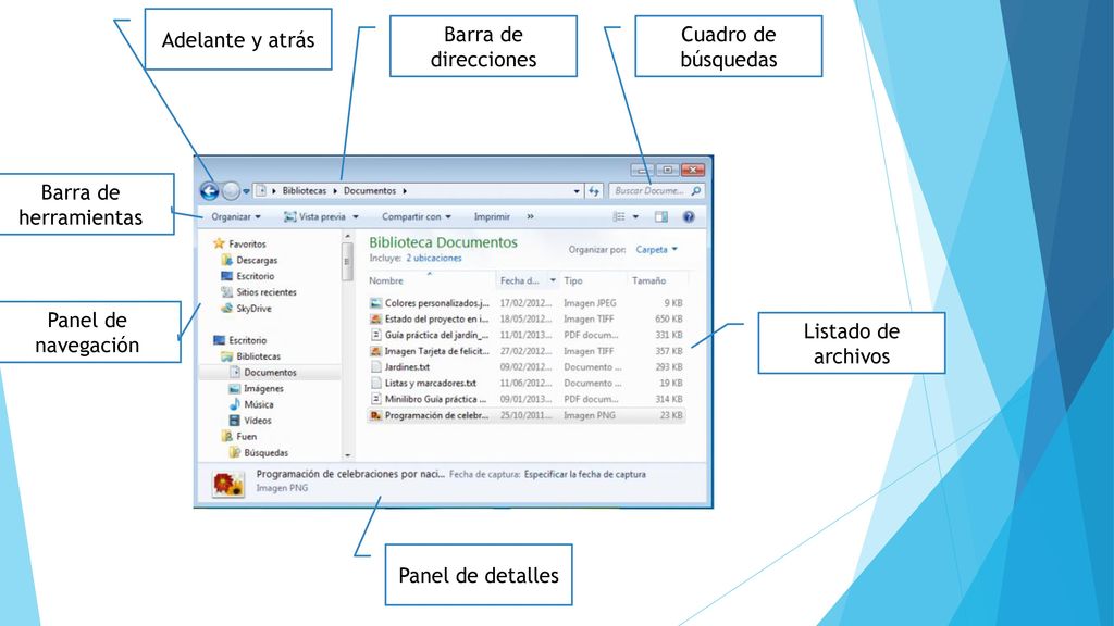 Adelante y atrás Barra de direcciones. Cuadro de búsquedas. Barra de herramientas. Panel de navegación.
