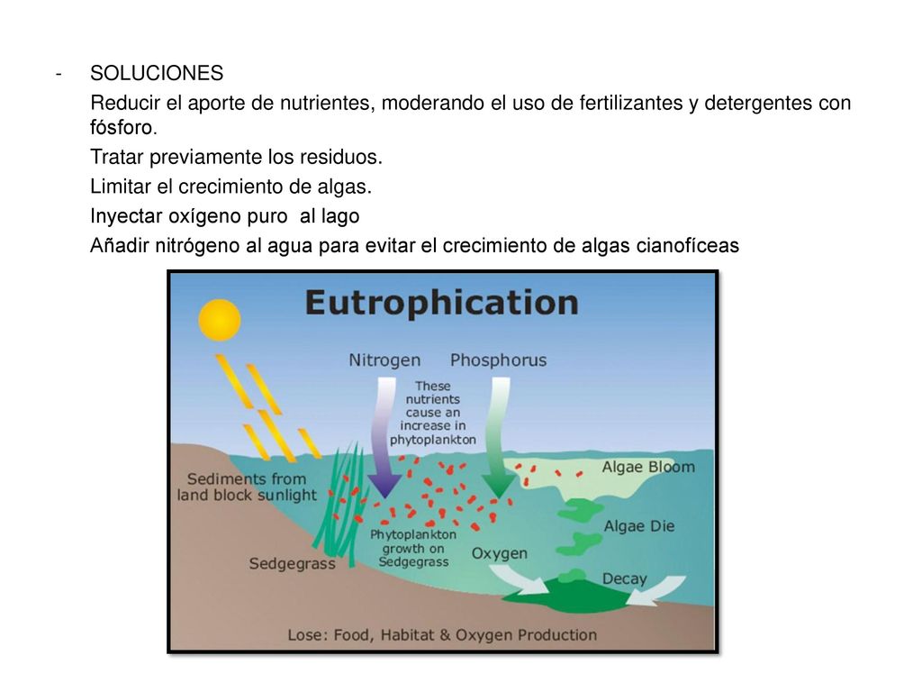 SOLUCIONES Reducir el aporte de nutrientes, moderando el uso de fertilizantes y detergentes con fósforo.