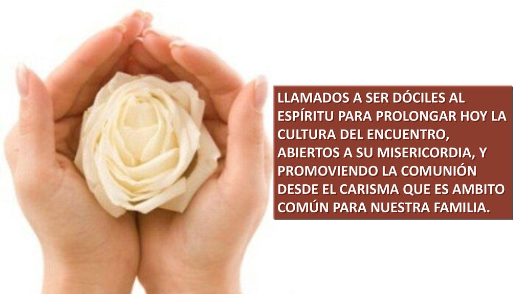 LLAMADOS A SER DÓCILES AL ESPÍRITU PARA PROLONGAR HOY LA CULTURA DEL ENCUENTRO, ABIERTOS A SU MISERICORDIA, Y PROMOVIENDO LA COMUNIÓN DESDE EL CARISMA QUE ES AMBITO COMÚN PARA NUESTRA FAMILIA.
