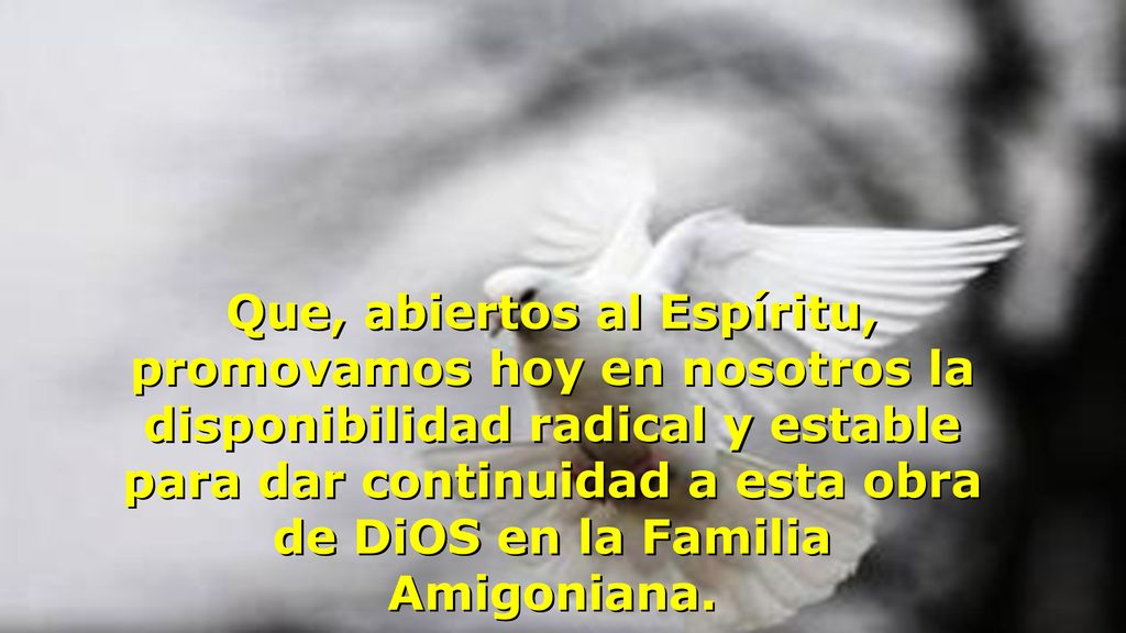 Que, abiertos al Espíritu, promovamos hoy en nosotros la disponibilidad radical y estable para dar continuidad a esta obra de DiOS en la Familia Amigoniana.