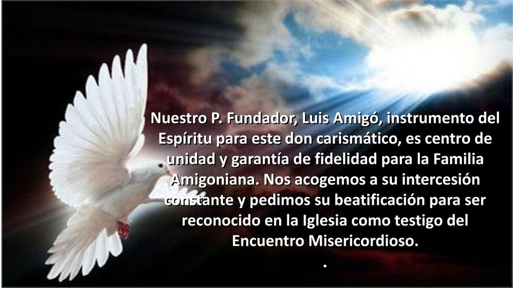 Nuestro P. Fundador, Luis Amigó, instrumento del Espíritu para este don carismático, es centro de unidad y garantía de fidelidad para la Familia Amigoniana. Nos acogemos a su intercesión constante y pedimos su beatificación para ser reconocido en la Iglesia como testigo del Encuentro Misericordioso.