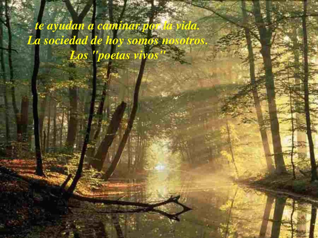 te ayudan a caminar por la vida. La sociedad de hoy somos nosotros