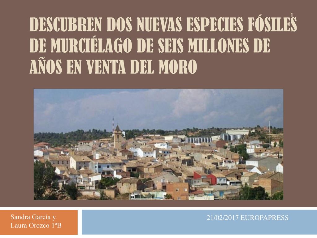 Descubren dos nuevas especies fósiles de murciélago de seis millones de años en Venta del Moro