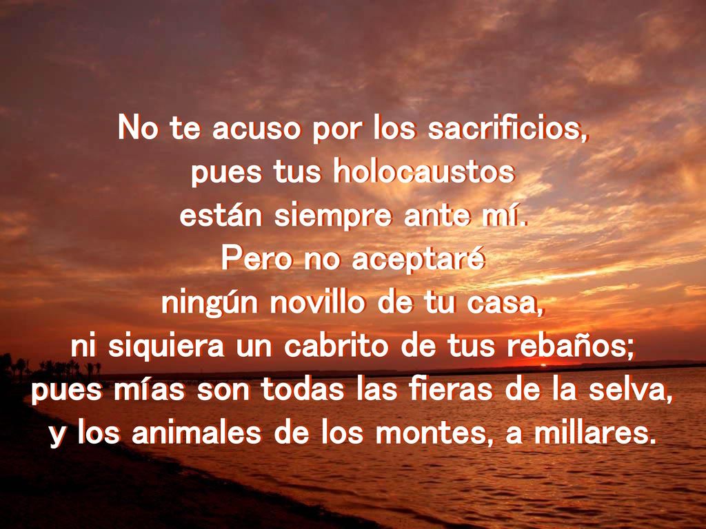 No te acuso por los sacrificios, pues tus holocaustos