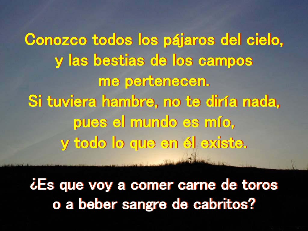Conozco todos los pájaros del cielo, y las bestias de los campos