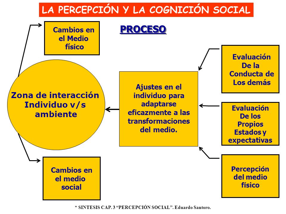 Ajustes en el individuo para adaptarse Percepción del medio físico