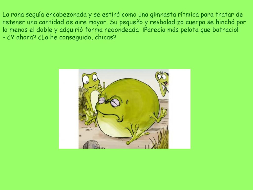 La rana seguía encabezonada y se estiró como una gimnasta rítmica para tratar de retener una cantidad de aire mayor. Su pequeño y resbaladizo cuerpo se hinchó por lo menos el doble y adquirió forma redondeada ¡Parecía más pelota que batracio!