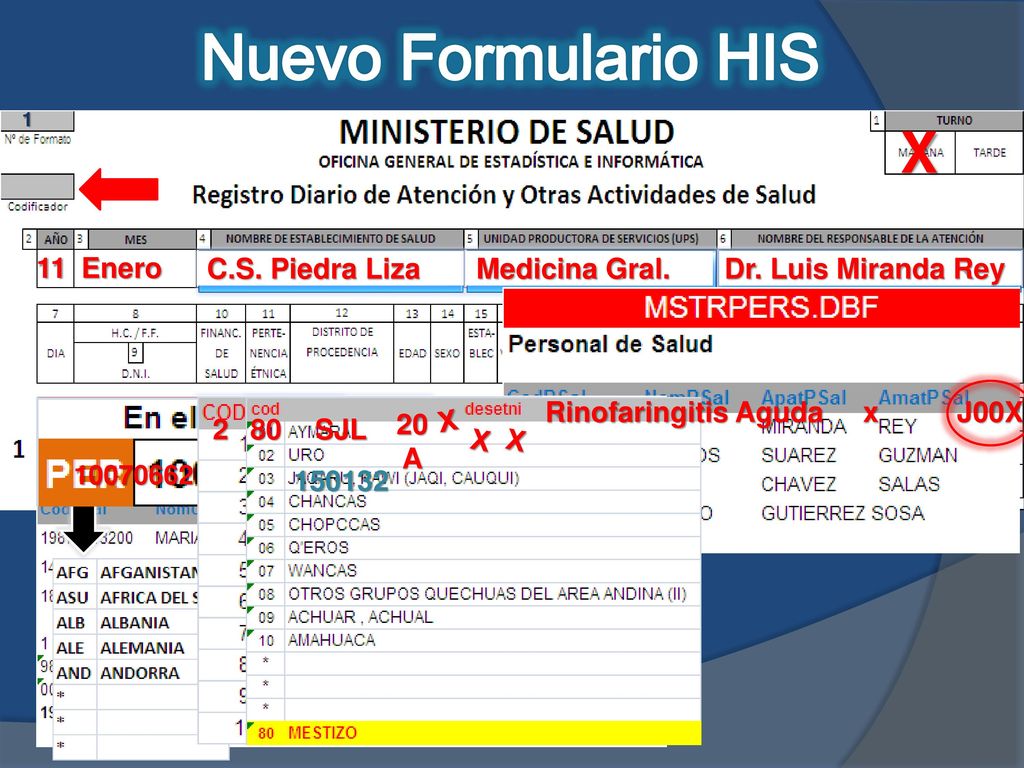 Nuevo Formulario HIS X 11 Enero C.S. Piedra Liza C.S. Piedra Liza