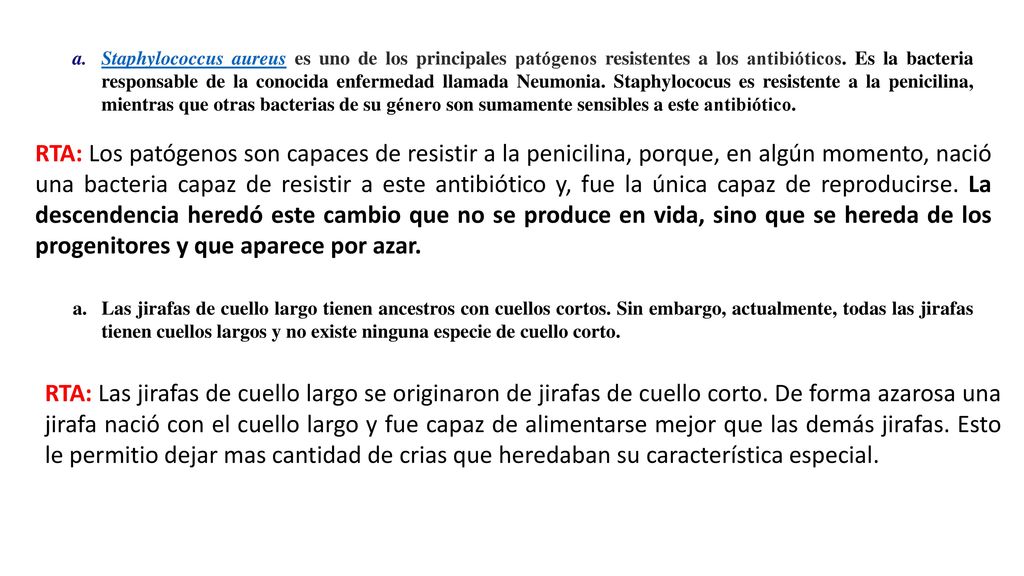 Staphylococcus aureus es uno de los principales patógenos resistentes a los antibióticos. Es la bacteria responsable de la conocida enfermedad llamada Neumonia. Staphylococus es resistente a la penicilina, mientras que otras bacterias de su género son sumamente sensibles a este antibiótico.