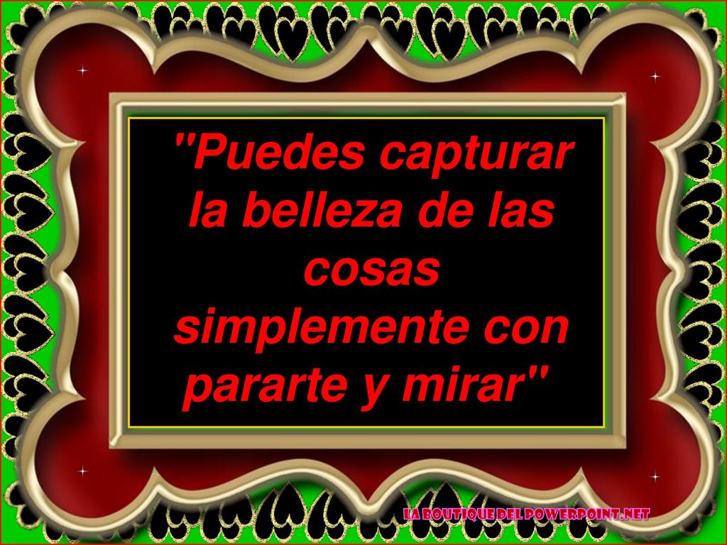 Puedes capturar la belleza de las cosas simplemente con pararte y mirar