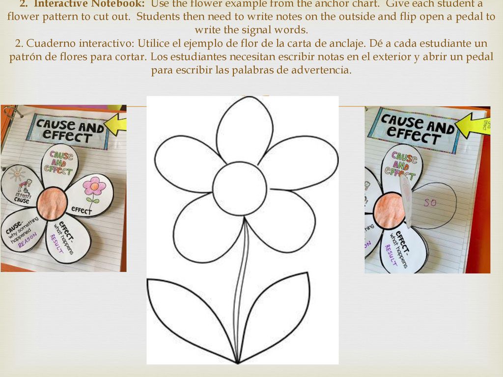 2. Interactive Notebook: Use the flower example from the anchor chart
