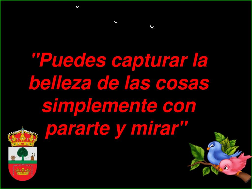 Puedes capturar la belleza de las cosas simplemente con pararte y mirar
