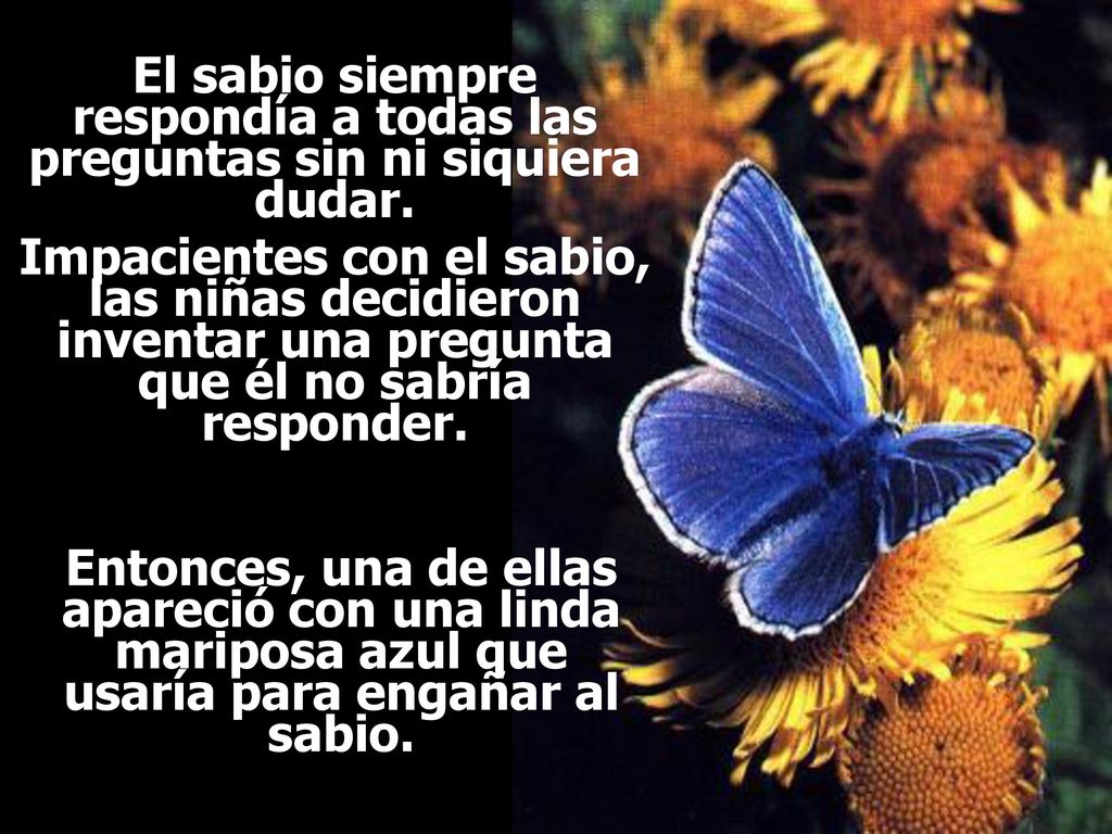 Ria Slides El sabio siempre respondía a todas las preguntas sin ni siquiera dudar.