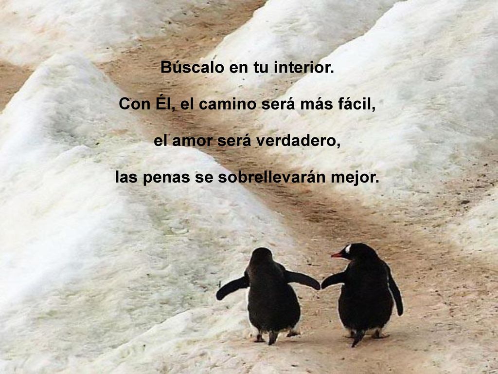 Con Él, el camino será más fácil, las penas se sobrellevarán mejor.