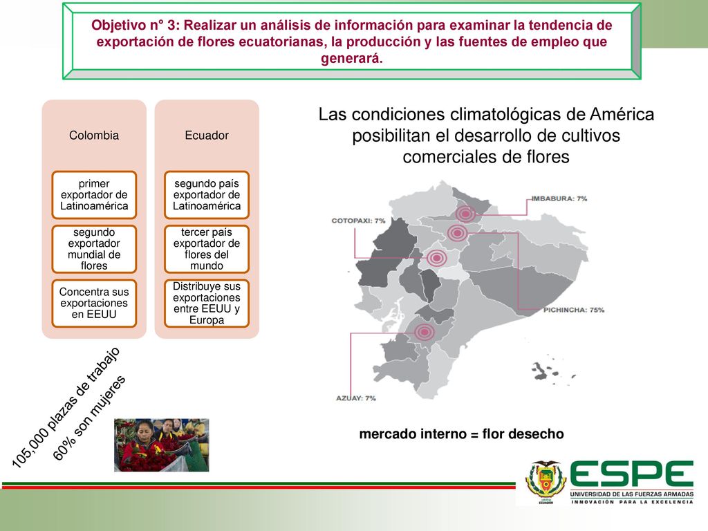 Objetivo n° 3: Realizar un análisis de información para examinar la tendencia de exportación de flores ecuatorianas, la producción y las fuentes de empleo que generará.