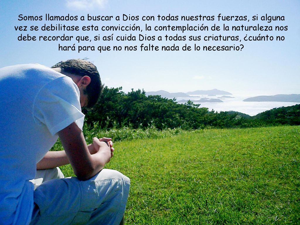 Somos llamados a buscar a Dios con todas nuestras fuerzas, si alguna vez se debilitase esta convicción, la contemplación de la naturaleza nos debe recordar que, si así cuida Dios a todas sus criaturas, ¿cuánto no hará para que no nos falte nada de lo necesario