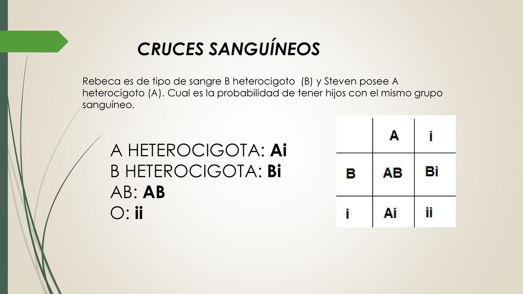 CRUCES SANGUÍNEOS A HETEROCIGOTA: Ai B HETEROCIGOTA: Bi AB: AB O: ii