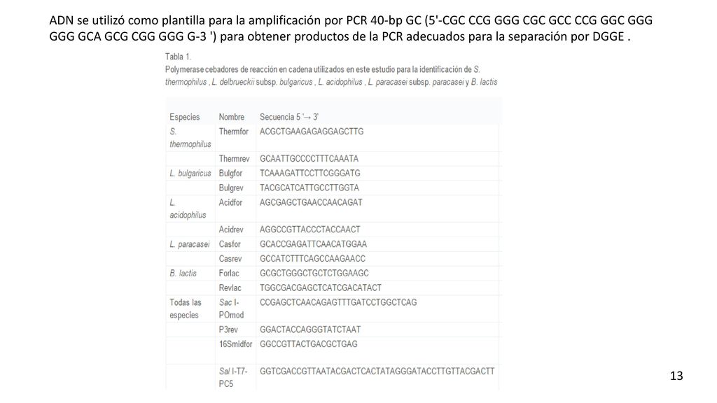 ADN se utilizó como plantilla para la amplificación por PCR 40-bp GC (5 -CGC CCG GGG CGC GCC CCG GGC GGG GGG GCA GCG CGG GGG G-3 ) para obtener productos de la PCR adecuados para la separación por DGGE .