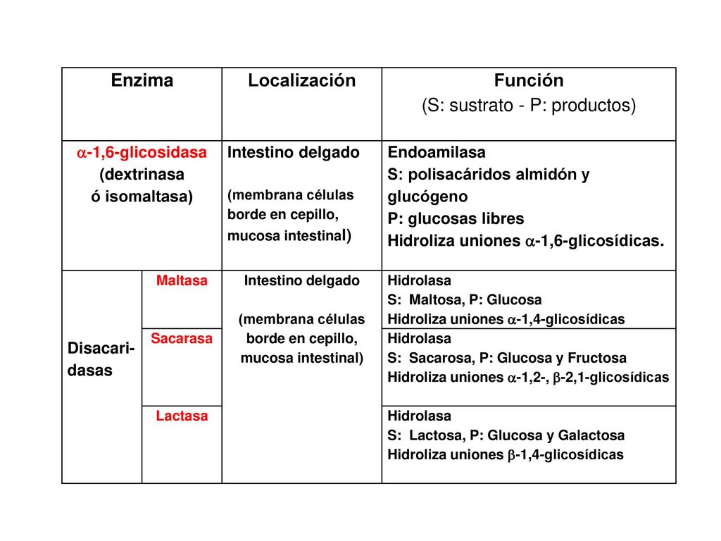 (S: sustrato - P: productos)