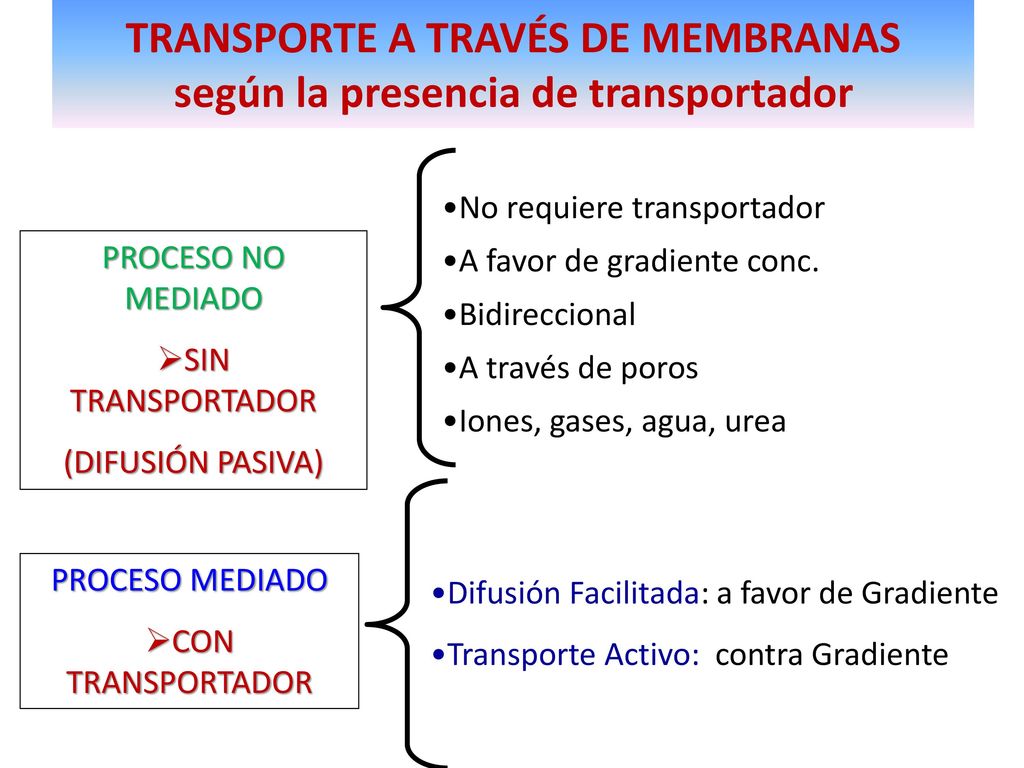 TRANSPORTE A TRAVÉS DE MEMBRANAS según la presencia de transportador