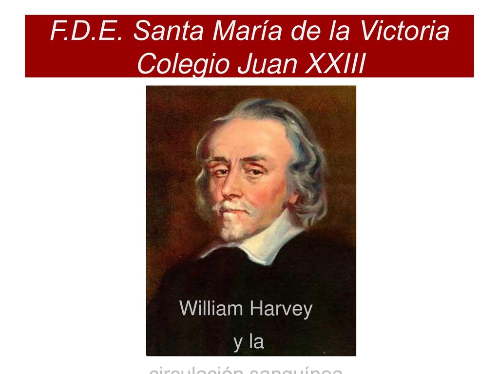F.D.E. Santa María de la Victoria Colegio Juan XXIII