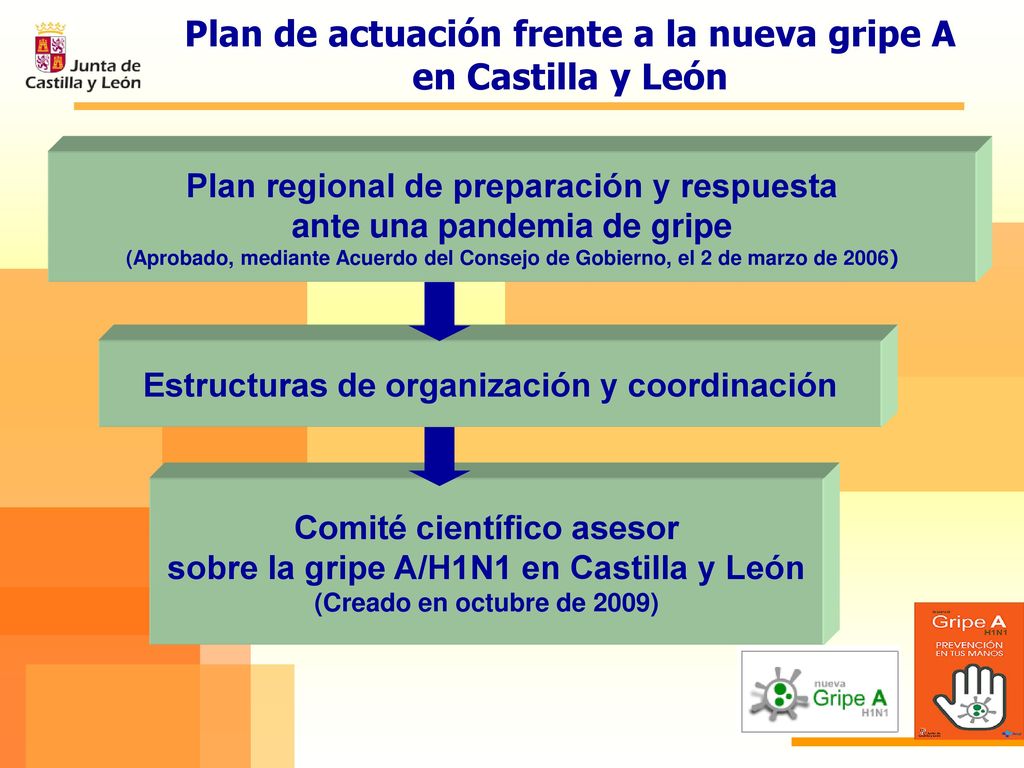 Plan de actuación frente a la nueva gripe A en Castilla y León