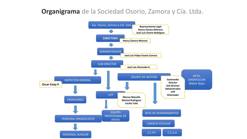Organigrama de la Sociedad Osorio, Zamora y Cía. Ltda.