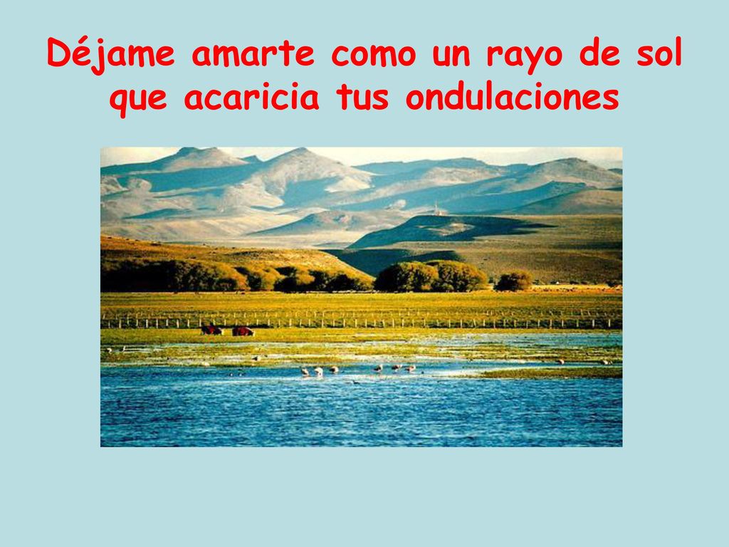 Déjame amarte como un rayo de sol que acaricia tus ondulaciones