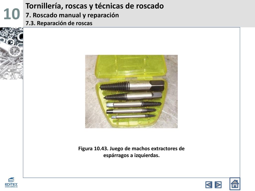 Figura Juego de machos extractores de espárragos a izquierdas.