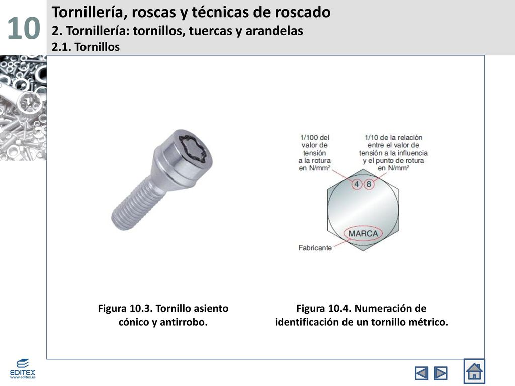 10 Tornillería, roscas y técnicas de roscado 2. Tornillería: tornillos, tuercas y arandelas 2.1. Tornillos.