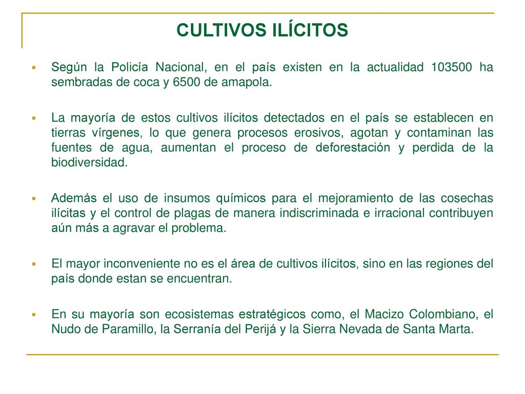 CULTIVOS ILÍCITOS Según la Policía Nacional, en el país existen en la actualidad ha sembradas de coca y 6500 de amapola.