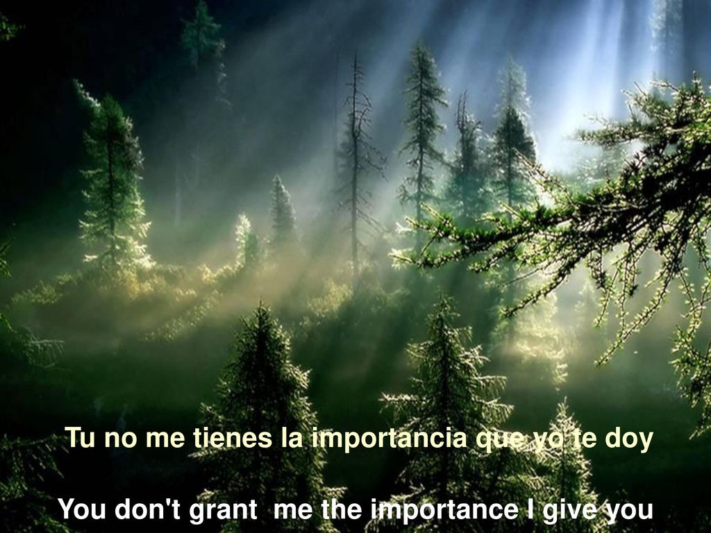 Tu no me tienes la importancia que yo te doy