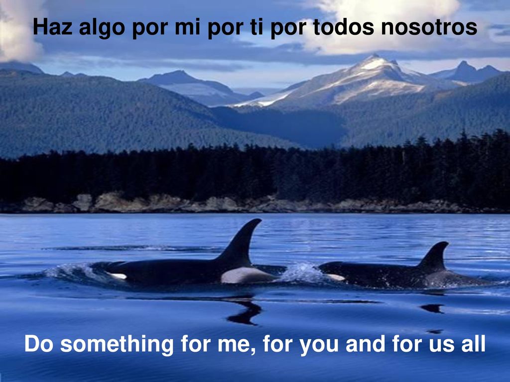 Haz algo por mi por ti por todos nosotros