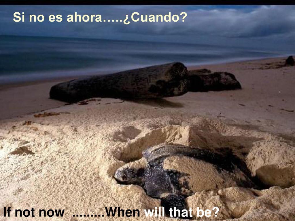 Si no es ahora…..¿Cuando If not now When will that be