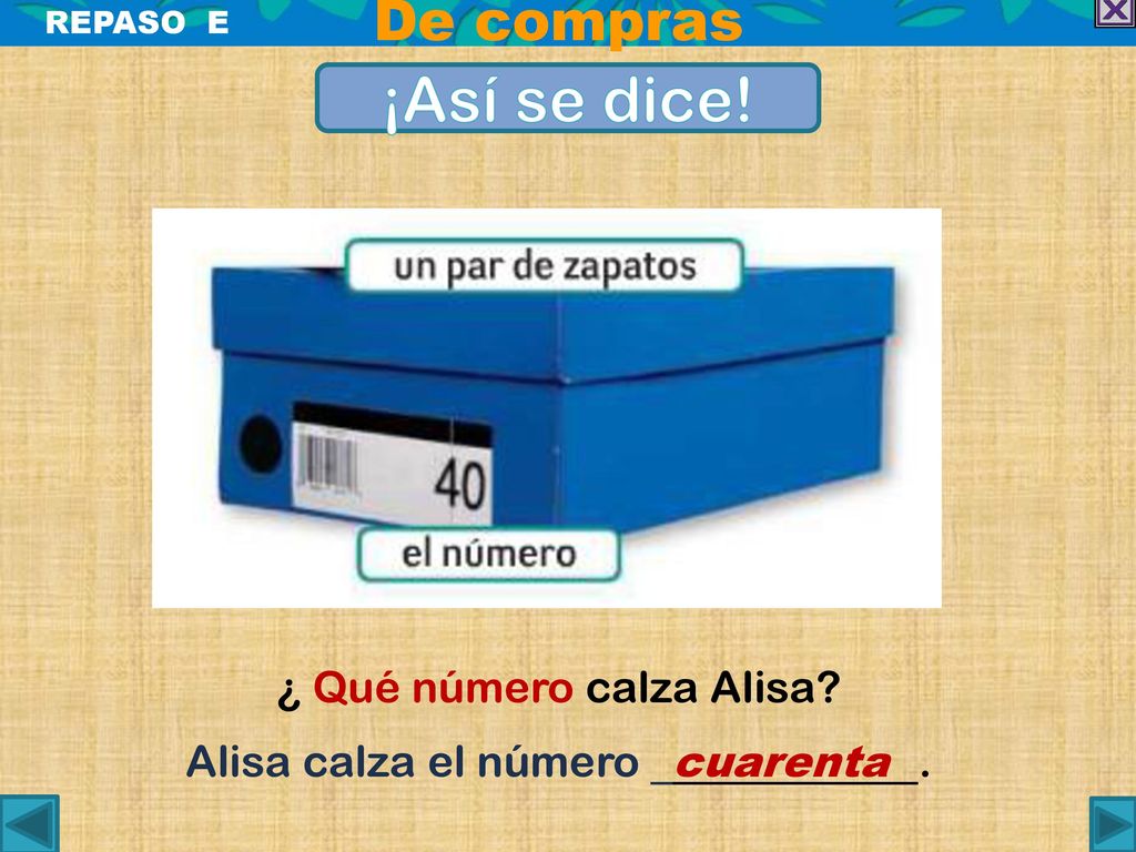 ¡Así se dice! De compras ¿ Qué número calza Alisa