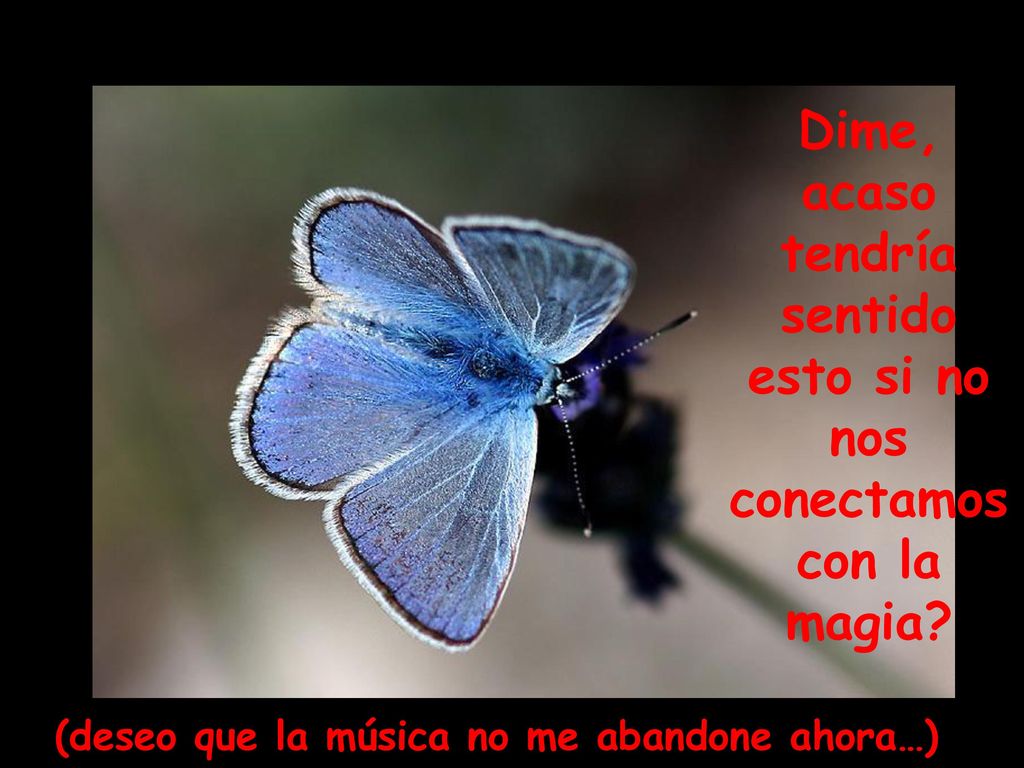 Dime, acaso tendría sentido esto si no nos conectamos con la magia