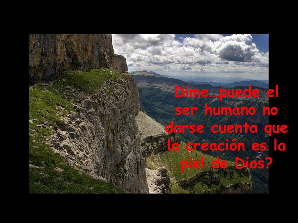 Dime…puede el ser humano no darse cuenta que la creación es la piel de Dios