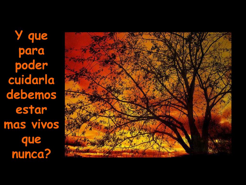 Y que para poder cuidarla debemos estar mas vivos que nunca