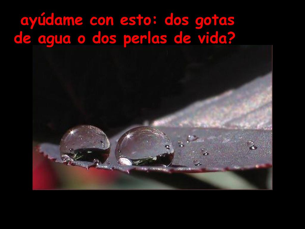 ayúdame con esto: dos gotas de agua o dos perlas de vida