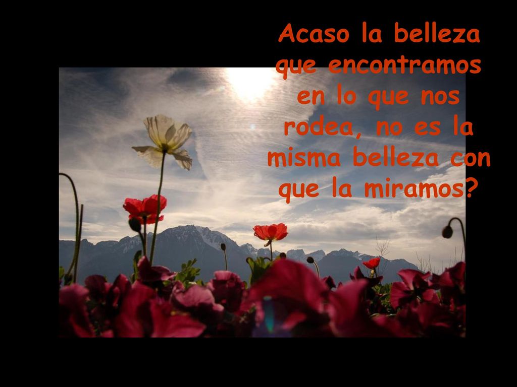 Acaso la belleza que encontramos en lo que nos rodea, no es la misma belleza con que la miramos