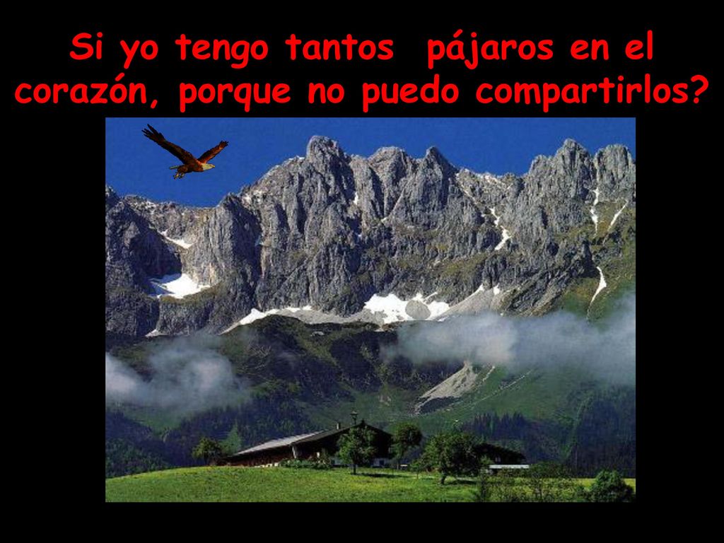 Si yo tengo tantos pájaros en el corazón, porque no puedo compartirlos